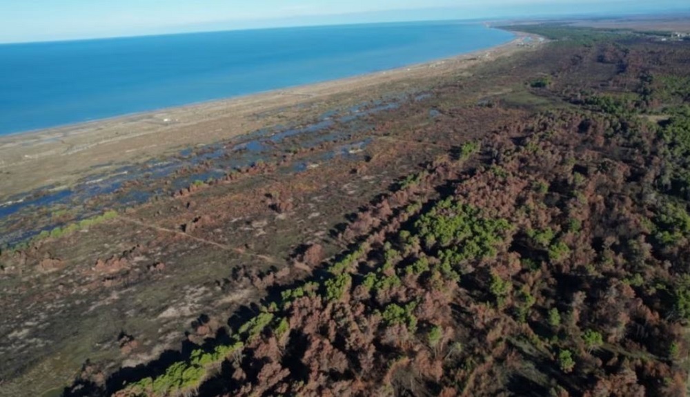 VOA: Mbi 365 hektare me pisha u dogjen ne zonen e mbrojtur te Pish Poro-Narte